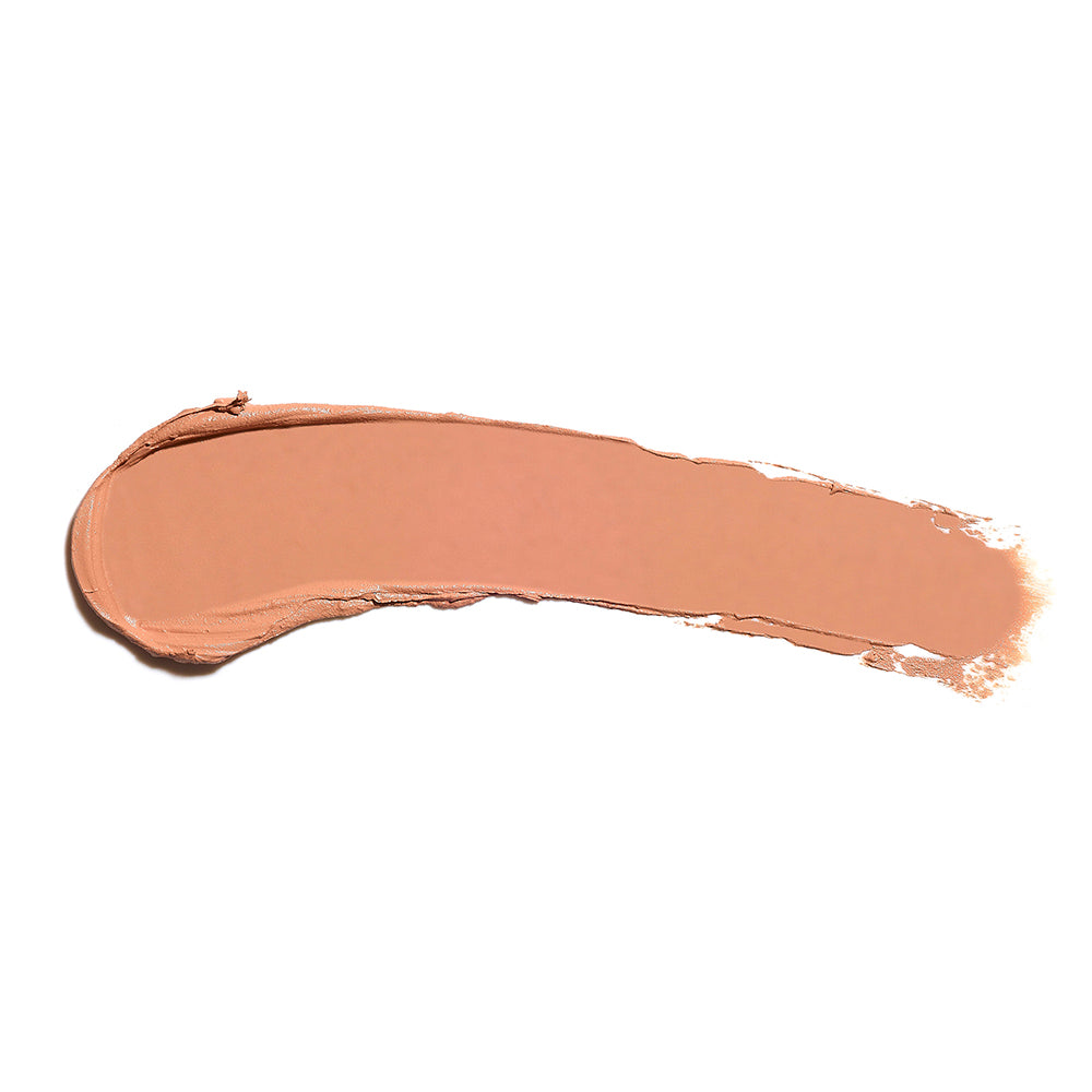 the full concealer 619