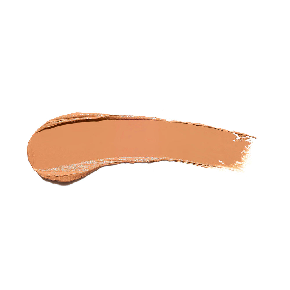 the full concealer 621
